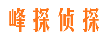 雄县市调查公司